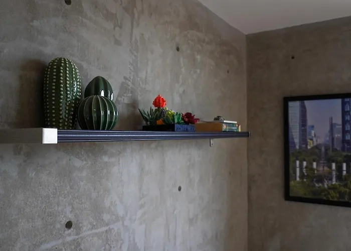 Apartment Modern Oasis Roma Sur Private Terrace With View Mexico City